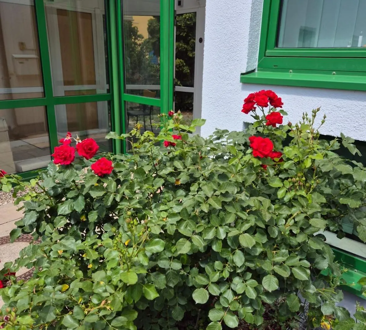 Hotel Lindenthal Leipzig